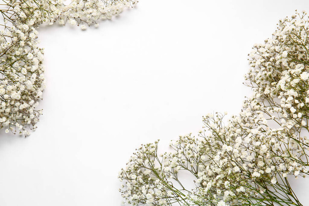 Hermosas flores de gypsophila sobre fondo blanco - Foto, Imagen