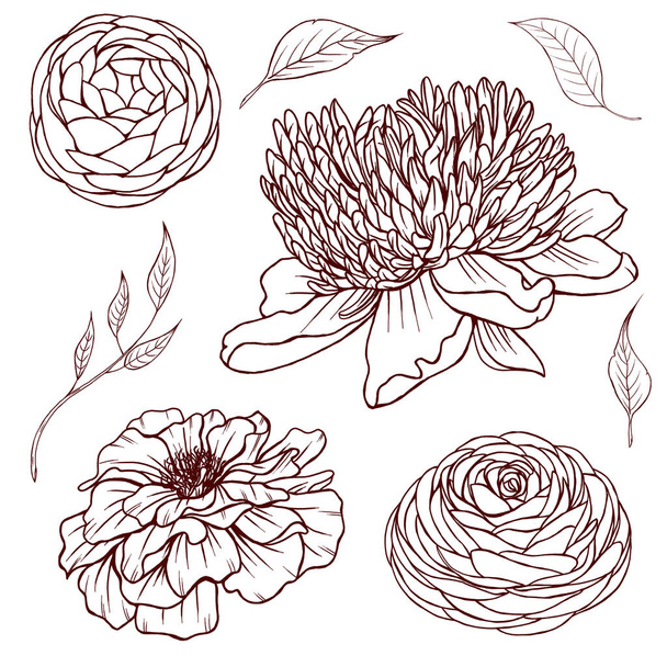 Black summer flowers line art, garden flowers sketch, peony, raununculus, leaves, summer botanica, wedding design elements - Fotó, kép