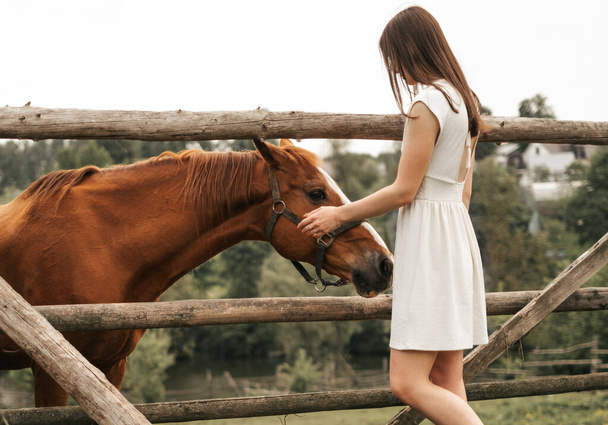 Beautiful brunette girl in a white dress with a horse on a summer day outdoors. Wooden paddock for horses - Fotó, kép
