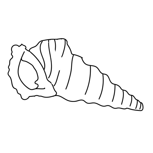 Seashell vector illustration isolated on white - Wektor, obraz