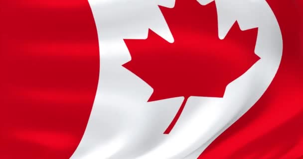 Flagi świata - flaga Kanady. Pomachał bardzo szczegółową animacją flagi. - Materiał filmowy, wideo