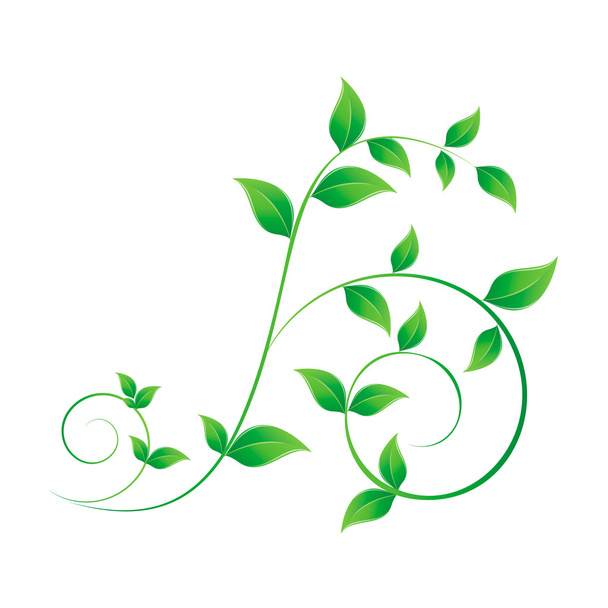 Branch with green leaves - Vector, imagen