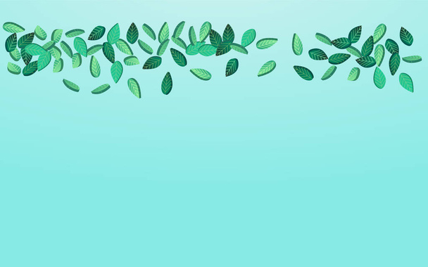 Forest Greens Ecology Vector Blue Background Branch. Swirl Leaves Banner. Green Leaf Falling Poster. Foliage Tree Border. - Foto, afbeelding