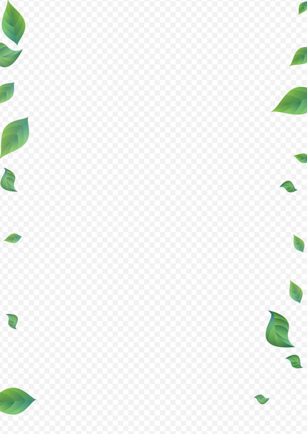 Green Leaf Spring Vector Transparent Background Branch. Flying Foliage Plant. Forest Leaves Falling Banner. Greenery Fresh Poster. - Fotoğraf, Görsel