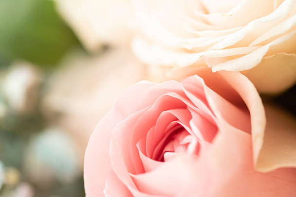 Rosenblüte im Garten, florale Schönheit und botanischer Hintergrund für Hochzeitseinladung und Grußkarte, Natur- und Umweltkonzept - Foto, Bild