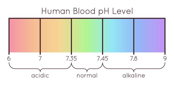 векторная шкала ph человеческой крови. кислый до нормальной щелочной диаграммы. индикатор радужной лабораторной бумаги. Научная концепция. спектр измерения баланса. - Вектор,изображение