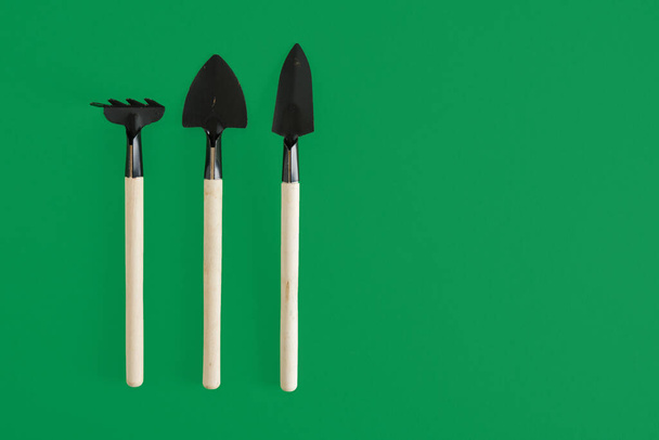 Gardening tools on green background. Garedeining concept small shovels and rakes for planting seedlings and indoor plants - Photo, Image