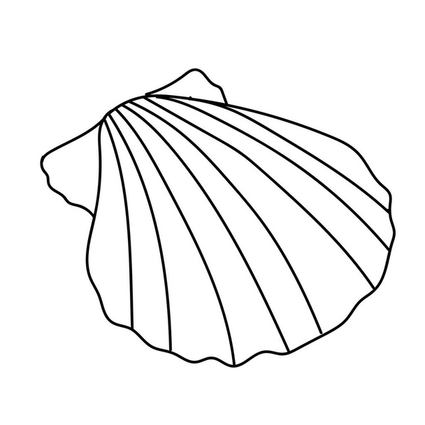 Seashell vector illustration isolated on white - Vector, Imagen