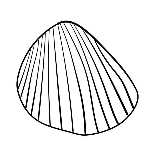 Seashell vector illustration isolated on white - Vector, Imagen