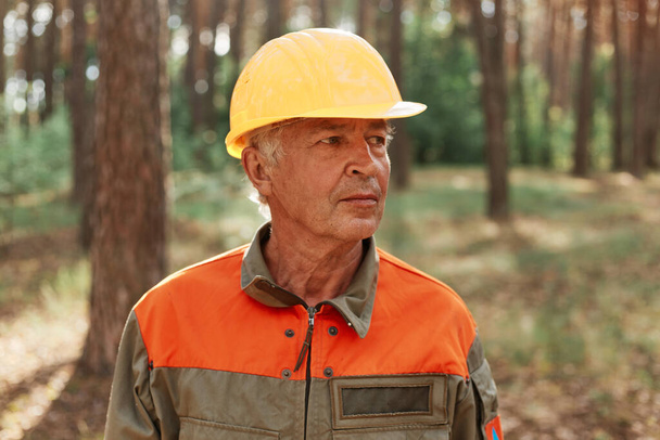 Portrait of mature woodsman posing in forest in open air and looking away with pensive expression, wearing uniform and yellow helmet, log inspecting territory. - Foto, Imagem