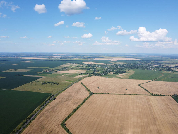 Céréales mûres sur un champ de ferme en été, vue sur le dessus. Ciel bleu clair au-dessus des champs, paysage de la vue d'un oiseau. - Photo, image