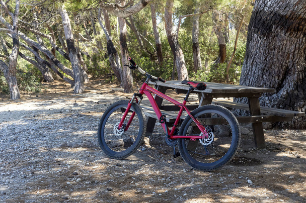 Το ποδήλατο είναι σταθμευμένο κοντά στα παγκάκια σε ένα πευκοδάσος σε ένα ηλιόλουστο, καλοκαιρινό κοντινό πλάνο. - Φωτογραφία, εικόνα