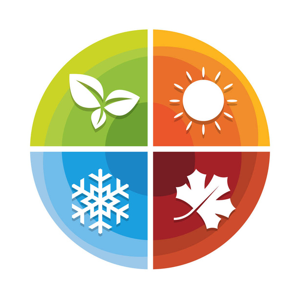 4 сезона иконка в диаграмме круга диаграмма с весной листьев, солнце летом, снег зимой и кленовый лист осенью дизайн вектора - Вектор,изображение