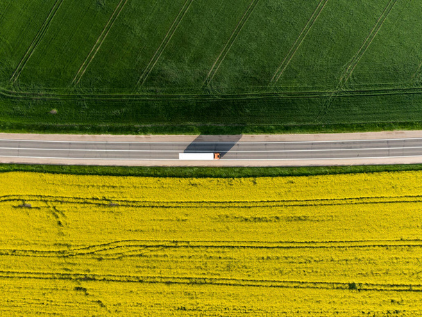 Aerial view of the rape field during flowering and the road between the fields - Foto, Imagen