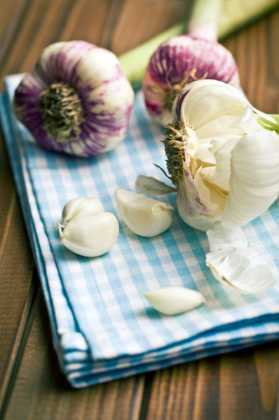 fresh garlic - Foto, Bild