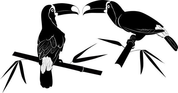 Cockatoo silhouettes - Vector, Image