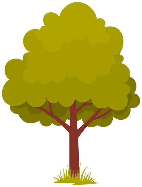 Deciduous tree with trunk and dense foliage. High plant with widely spread branches and green leaves - Vector, Imagen