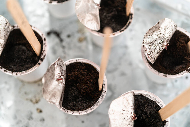 Φυτεύοντας σπόρους σε κάψουλες καφέ για να ξεκινήσετε έναν εσωτερικό κήπο λαχανικών. - Φωτογραφία, εικόνα