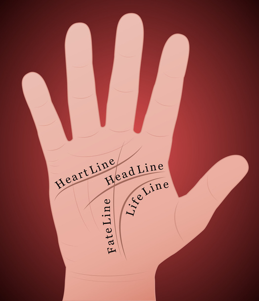 Palmistry Right Hand Main Lines - Vector, Image