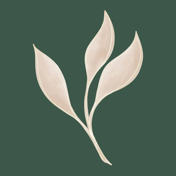 The sprig is watercolor, with beige leaves and a gold outline on a dark green background - Foto, Imagem