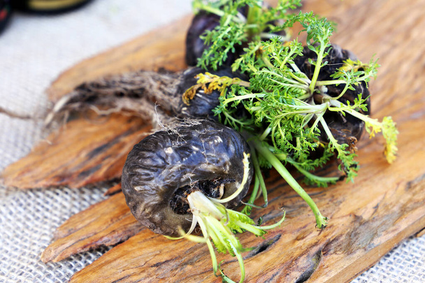 Fresh Peruvian Maca or Peruvian ginseng (lat. Lepidium meyenii). Black Maca in rustic wooden background. Selective focus. - Φωτογραφία, εικόνα