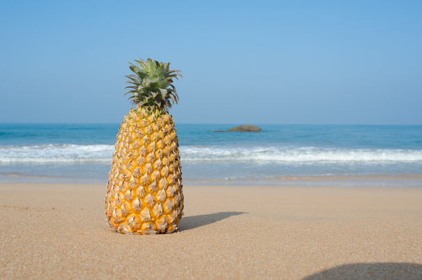 Summer concept with sandy beach and pine apple - Фото, зображення