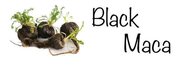 Maca. Raíz peruana para vitalidad, energía y salud. Maca Peruana Negra en fondo blanco. Afrodisíaco de raíz para la salud - Foto, imagen