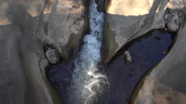 Forest river on rocks water flow, Mountain forest river rock landscape.  - Footage, Video