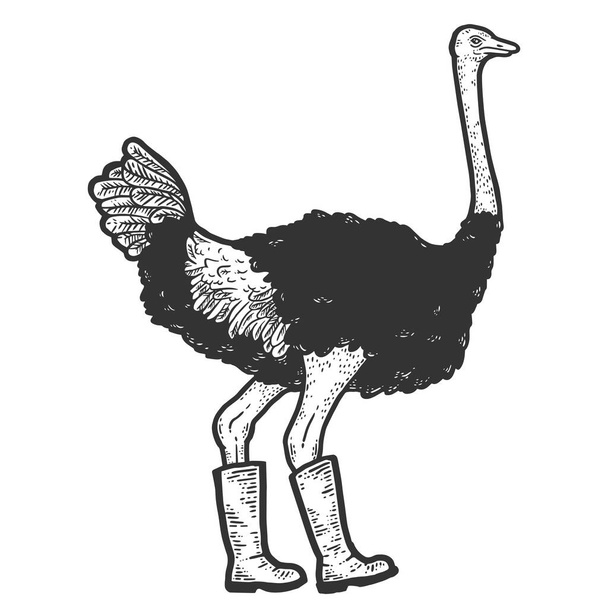 Ostrich in boots. Sketch scratch board imitation color. - Vektor, obrázek