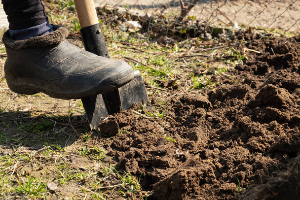Gartenbearbeitung, Beinmann gräbt den Boden Frühjahrsbepflanzung - Foto, Bild