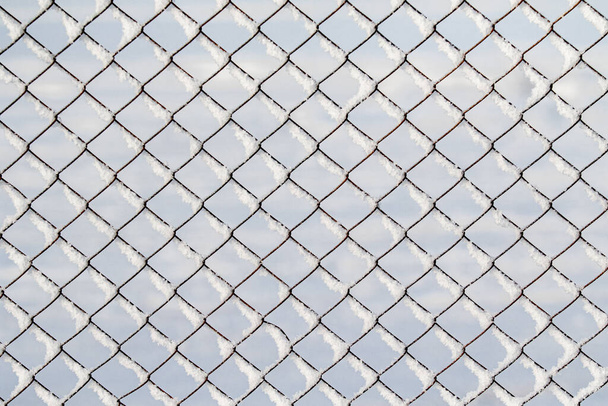 Mesh metal mesh in the snow in winter background. - Photo, Image