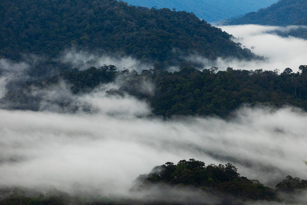 Trópusi esőerdős táj, felhők és köd közé merülve, Taman Negara Nemzeti Park, Bukit Terisek, Malajzia szemszögéből nézve - Fotó, kép