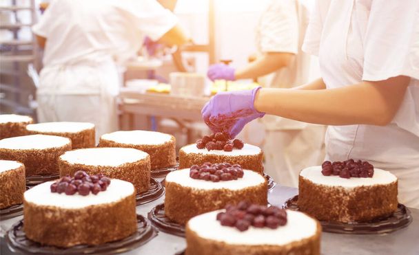 Pastry chef girl makes a cake from fresh biscuit berries and cream. Mass production of cakes and sweets, confectionery factory, professional - Fotografie, Obrázek
