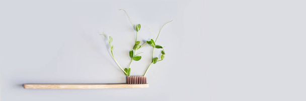 Set of ecology toothbrush. Different color. Sustainable mouth product - 写真・画像