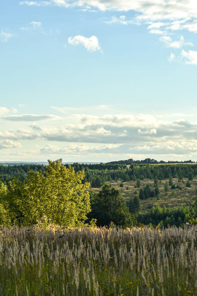panoramic view of the beautiful field - Zdjęcie, obraz