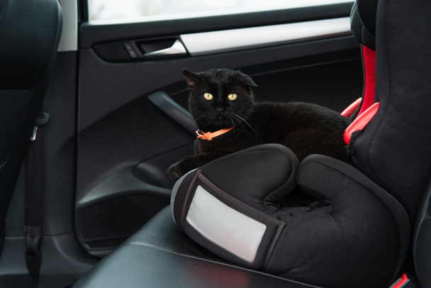 μαύρη γάτα σε παιδικό κάθισμα μέσα στο σύγχρονο αυτοκίνητο - Φωτογραφία, εικόνα