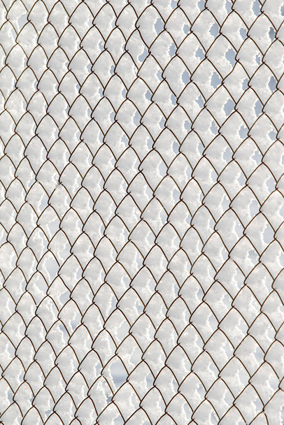 Mesh metal mesh in the snow in winter background. - Photo, Image