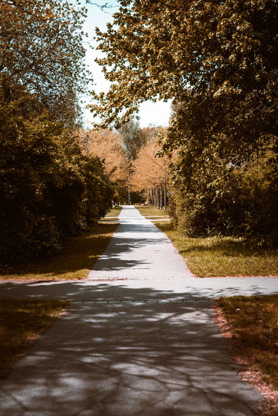A vertical shot of a park landscape in autumn under bright sunlight - Foto, immagini
