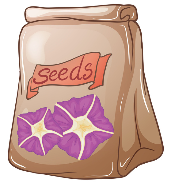Un paquete de semillas de flores
 - Vector, Imagen