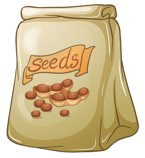 Un pacchetto di semi di noce
 - Vettoriali, immagini
