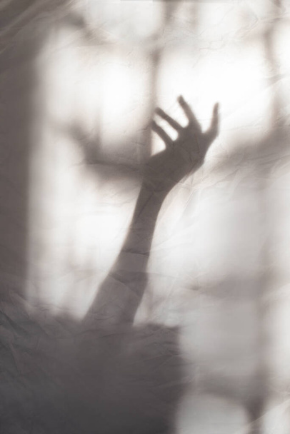 Grey shadows of hand on the wall. Abstract blurred effect. Focus on shadows. - Photo, Image