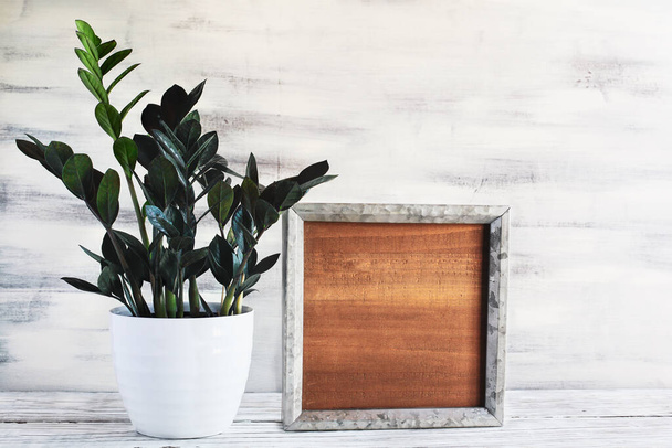Potted ZZ Dowon Plant, Zamioculcas Zamifolia, houseplant with blank wood farmhouse sign or picture frame over a rustic table with white wooden background. Free space for text. - Fotografie, Obrázek