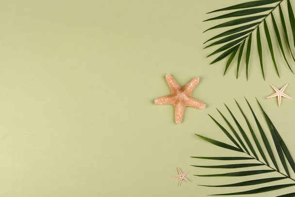 ビーチアクセサリー:色の背景に貝殻や海の星とメガネや帽子。夏の背景 - 写真・画像