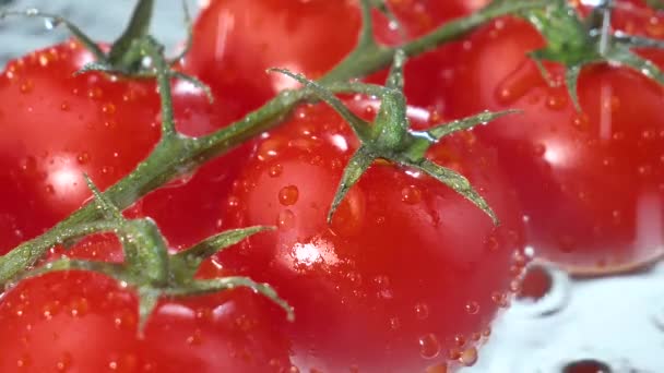 Gocce d'acqua gocciolano lentamente su pomodori rossi maturi. - Filmati, video