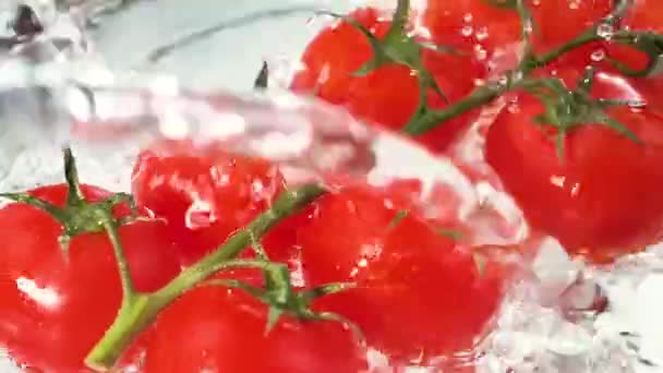 Rode tomaten worden langzaam gewassen met een grote waterstroom - Video