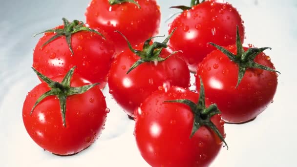 Druppels water druppelen langzaam op rijpe, rode tomaten. - Video