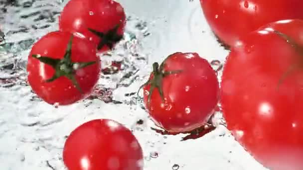 Червоні помідори повільно потрапляють у тарілку води - Кадри, відео