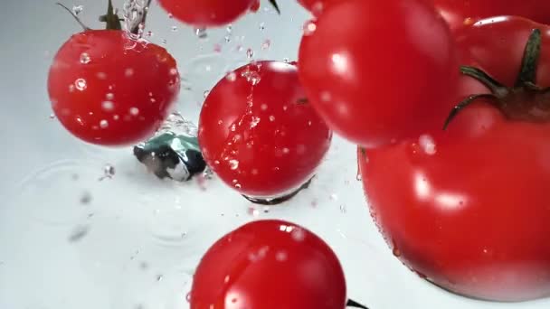 Красные помидоры медленно падают в пластину с водой - Кадры, видео