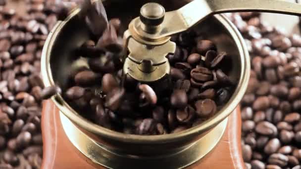 Chicchi di caffè tostati cadendo lentamente in un macinino da caffè - Filmati, video