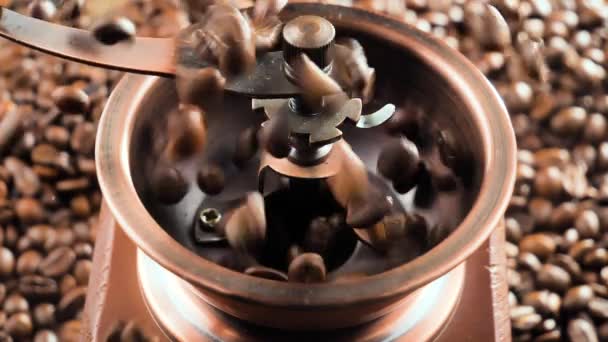 Granos de café tostados cayendo lentamente en un molinillo de café - Imágenes, Vídeo